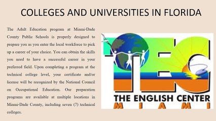 colleges and universities in florida