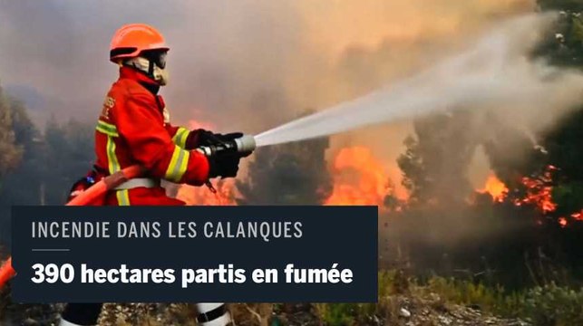 Les images de l'incendie qui a ravagé les calanques de Marseille