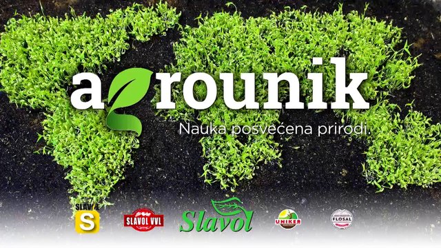 Otkrivamo vam kada bi, kako i zašto trebalo da koristite „Slavol“ u šećernoj repi!