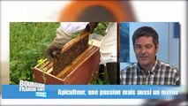 Découvrir les abeilles, le miel et ceux qui le font