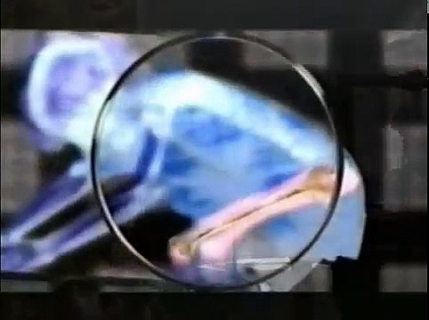 1 Биомиметика - наука, подтверждающая существование Бога-Творца