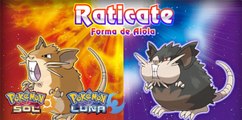 Nuevo Raticate forma Alola - Pokémon Sol y Luna