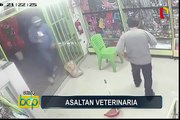 Ica: cámaras de seguridad registran violento asalto a veterinaria