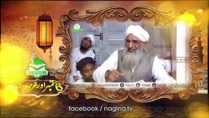 Ghazwa e Hind ( Allama Moulana Muneer Ahmad yousufi )