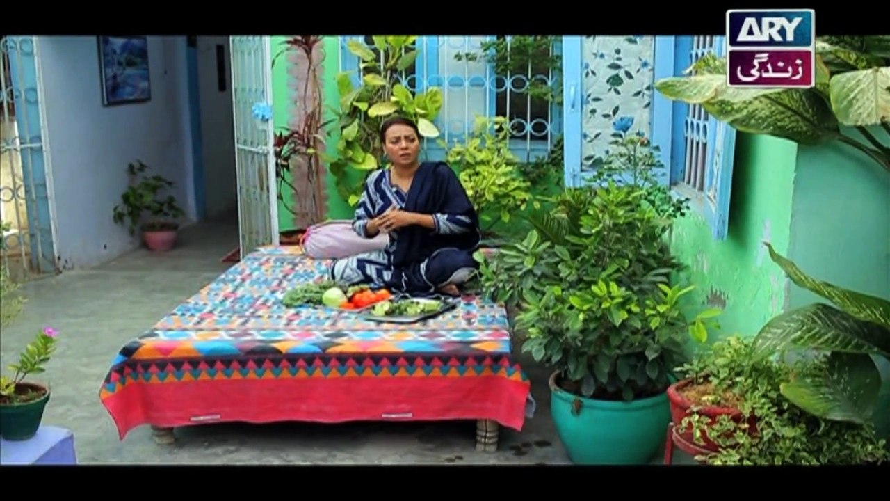 Khushaal Susraal Episode - 84 on Ary Zindagi in High Quality 6th September 2016