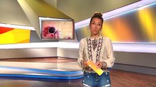 Annemarie Carpendale - taff Solo - 05.09.2016