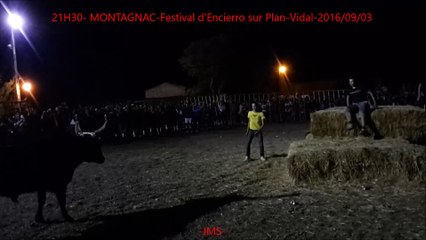 MONTAGNAC-21H30-Festival d'Encierro sur Plan-Vidal-2016-09-03-dailymotion