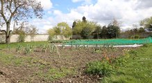 Visite du potager de la reine du Château de Versailles