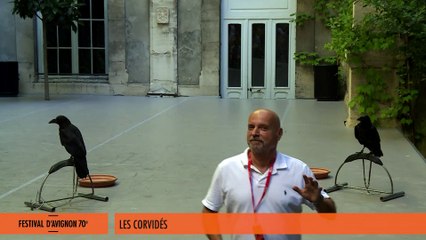 Sujets à vif 2016 - extrait de "Les Corvidés"