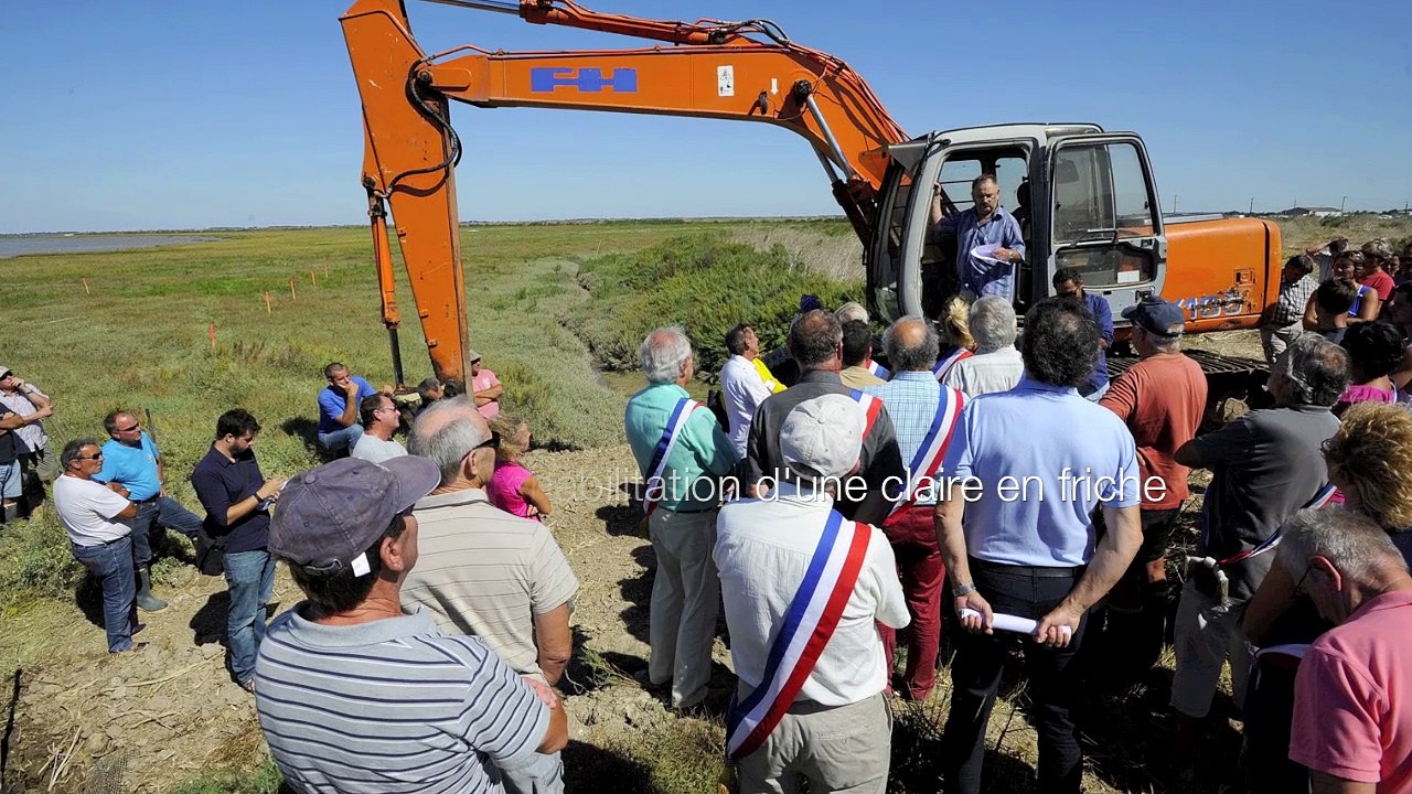 Ostréiculture : soutien au projet de réhabilitation d'une claire en friche