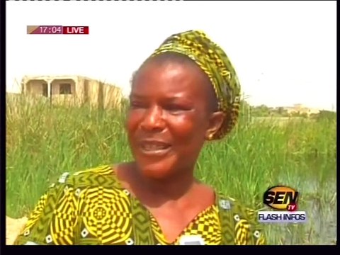 Le cri du cœur des habitants de la cité Castor de Keur Massar