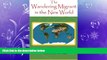 Free [PDF] Downlaod  The Wandering Migrant in the new World (The Wandering Miigrant) (Volume 3)