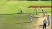 Top 5 Funny Catches In Cricket History Ever HD ● Funny Cricket Moments