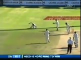 Top 5 Funny Catches In Cricket History Ever HD ● Funny Cricket Moments