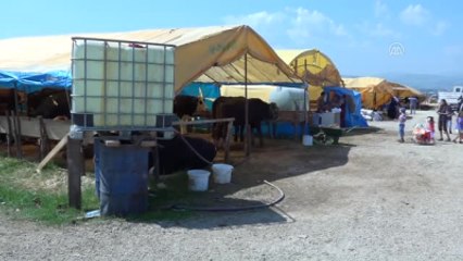 Kurban Pazarında Hareketlilik Arttı