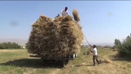 Yüksekova'da Besicilerin Kış Hazırlığı