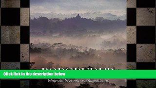 READ book  Borobudur: Majestic Mysterious Magnificent  BOOK ONLINE