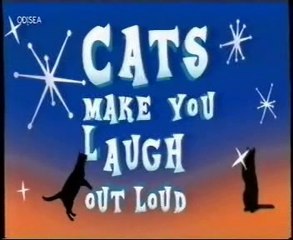 Muertos de risa: Gatos (1)