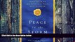 Big Deals  Peace in the Storm: Meditations on Chronic Pain and Illness  Best Seller Books Most
