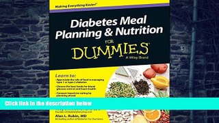 Big Deals  Diabetes Meal Planning and Nutrition For Dummies  Free Full Read Best Seller