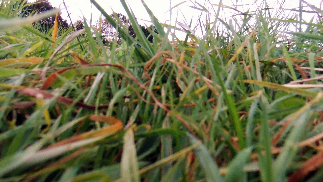 Zweiter Drohnen Flug in Wuppertal