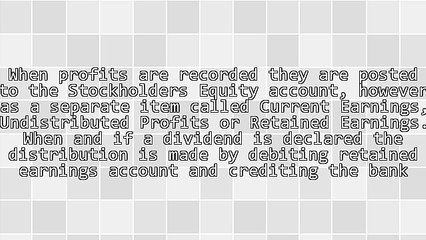 Corporate Social Responsibility (CSR) - Do the Shareholders Own a Company?