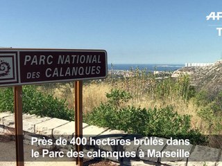 Incendie dans les Calanques à Marseille: la piste criminelle privilégiée
