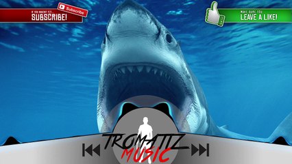 Instru Rap - World Of Sharks - TromatizMusic