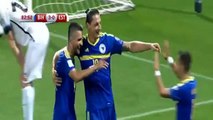 Vedad Ibisevic Goal - Bosnia Herzegovina vs Estonia 4-0 (6/9/2016) HD