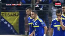 4-0 Vedad Ibišević Goal FIFA  WC Qualification UEFA  Group H - 06.09.2016 Bosnia-Herzegovina 4-0 Estonia