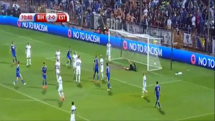 Haris Medunjanin Golazo vs Estonia (3-0)