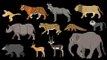 Indian Mammals - Animals Series - Elephant, Tiger, Bear - The Kids' Picture Show (Fun & Educational)