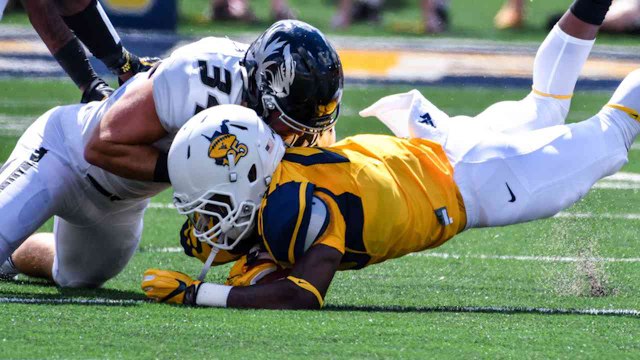 Matter: What to Expect vs. EMU