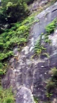 Wendy’s Franchise Owner Keeps His Foot on the Pedal for Children in Foster Care | Dave Thomas Foundation for Adoption