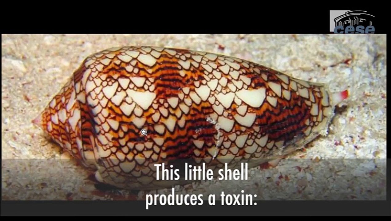 Biomimicry