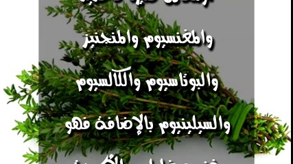هذا العشب بمثابة صيدلية متكاملة في منزلك فوائد صحية مذهلة