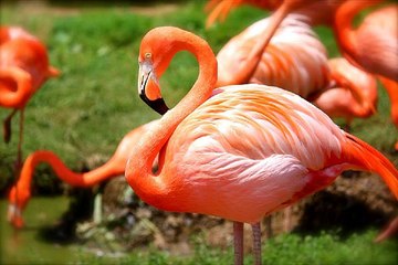 밤의전쟁, 대구오피, 동촌오피, 엿보기