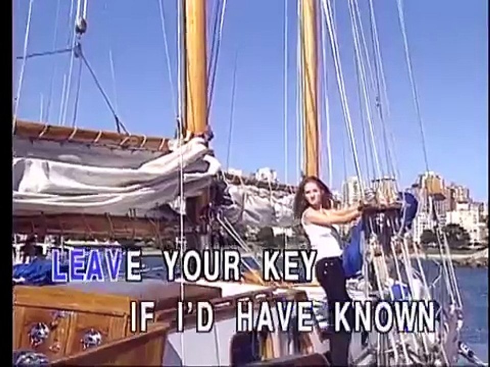 I will survive - Gloria Gaynor (karaoke) lyrics