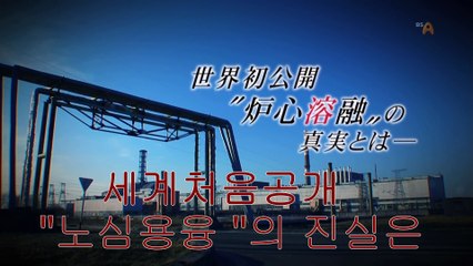 チェルノブイリ 2011_