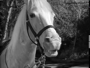 Mister Ed S5 | Never Ride Horses