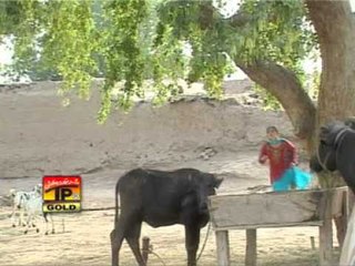 Aj Pata Lag Tera Banda Banda.