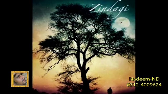 Meri Zindagi To Firaaq Hai - Peer e Kamil (S.A.W) - Ghazal - Urdu Hindi Poetry S