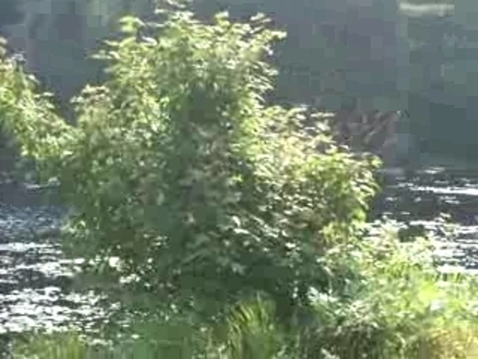 au milieu de nulle part