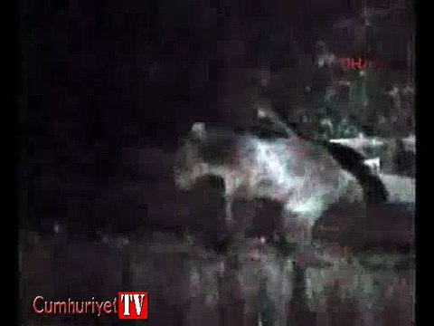 Alabalık tesisine giren ayı turistleri korkuttu