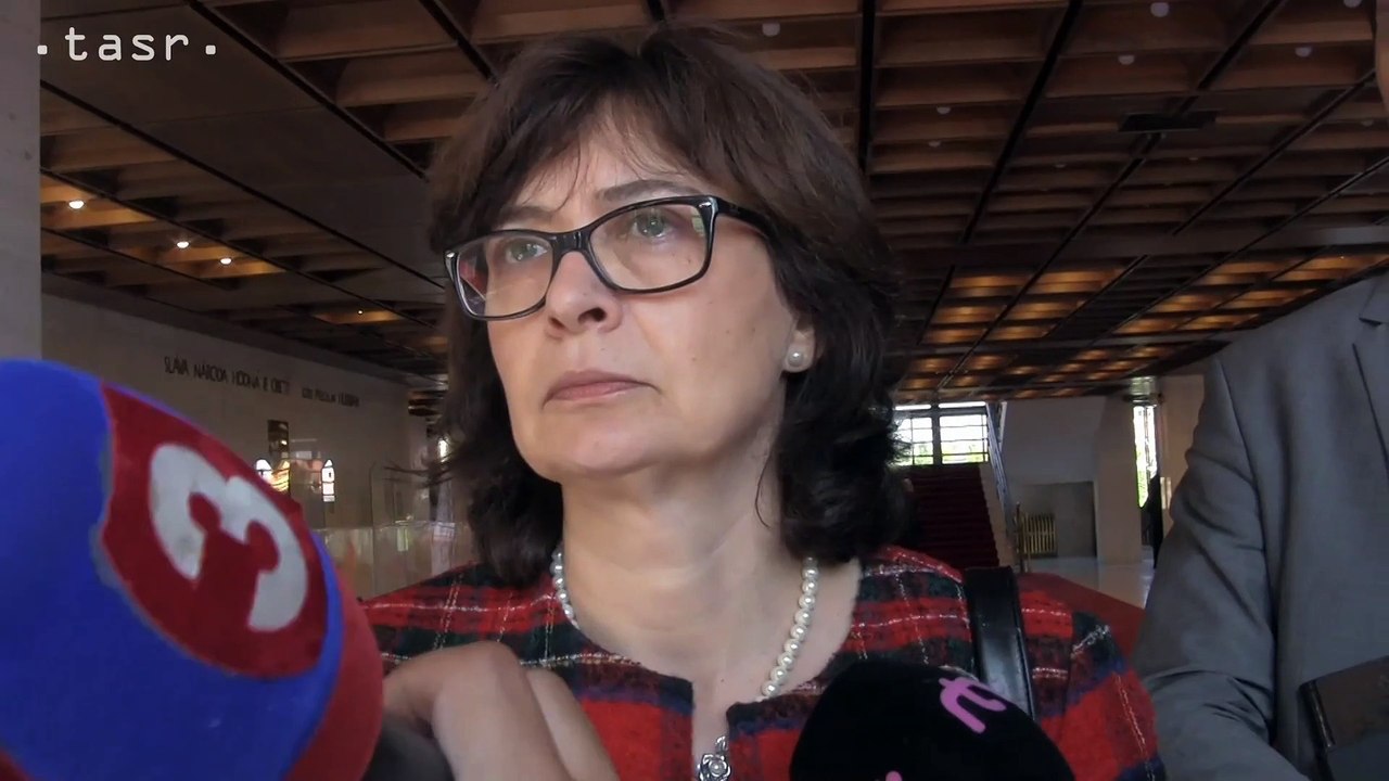 L. ŽITŇANSKÁ: Som otvorená diskusii o protischránkovom zákone