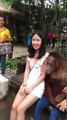 Funny chimpanzee hugs and kisses a cute Chinese girl