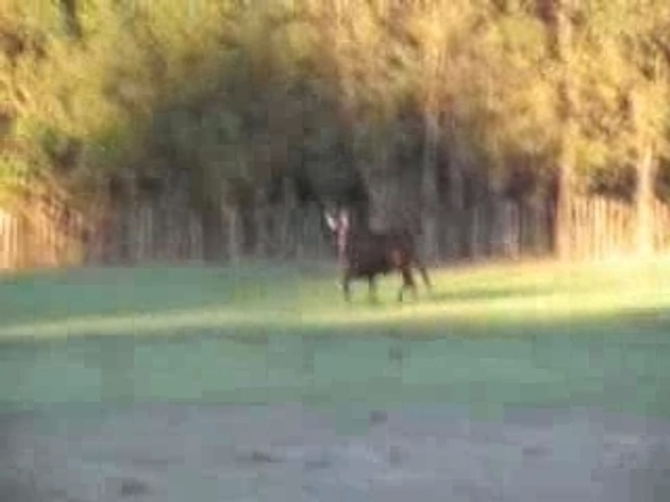 FETE DE LA JEUNESSE 2007 LE CAILAR