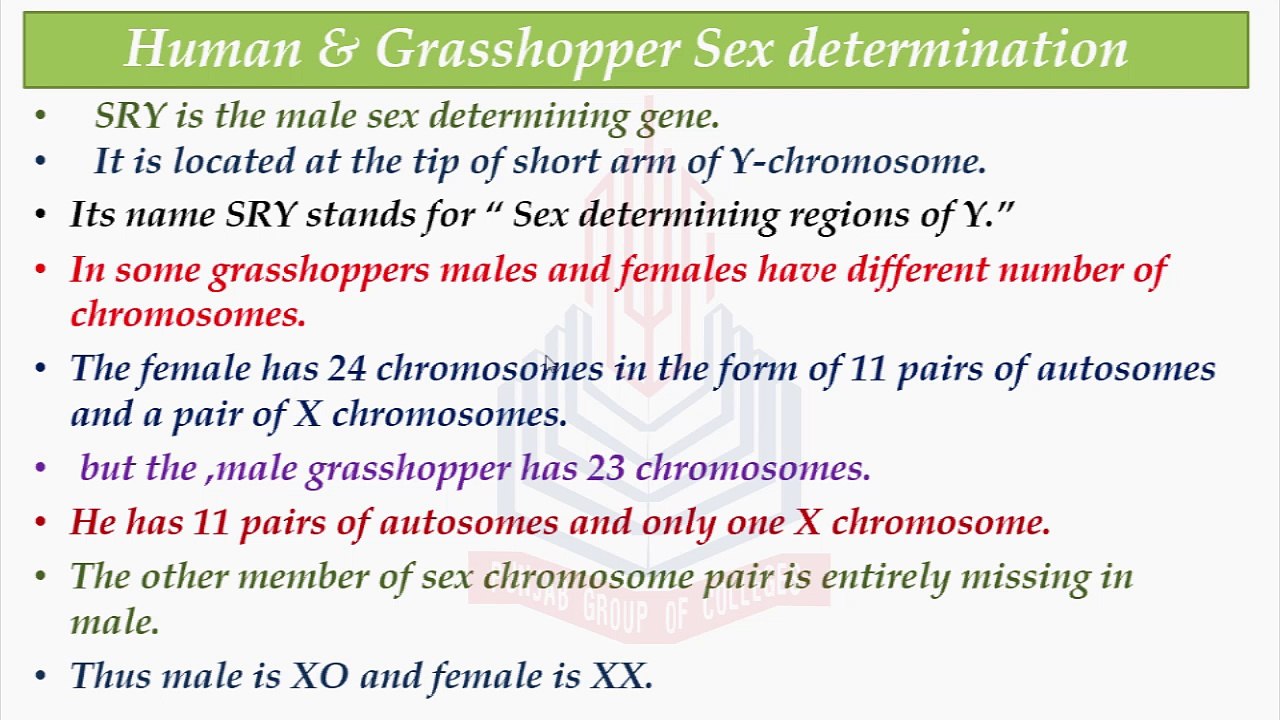 Human & Grasshopper Sex Determination