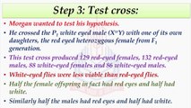 Reciprocal Cross as a Confirmatory Test